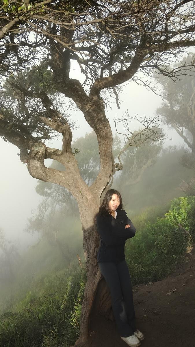 3 Hari 2 Malam Air Terjun Tumpak Sewu + Bromo + Ijen