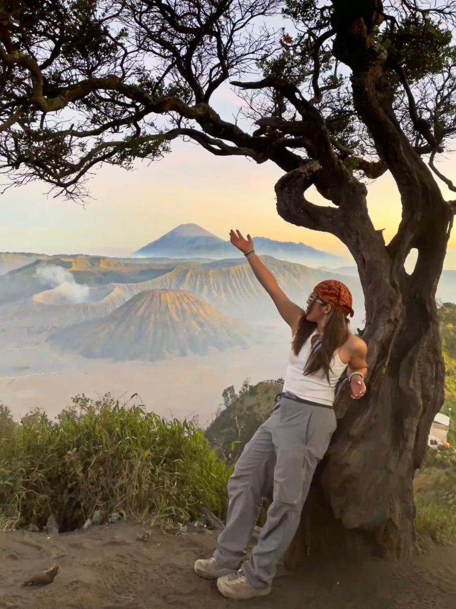 4 Hari 3 Malam : Perkebunan Teh + Air Terjun Sewu + Bromo + Ijen