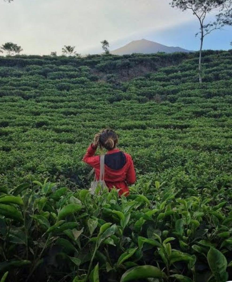 6 Hari 5 Malam Yogyakarta-Jawa Timur
