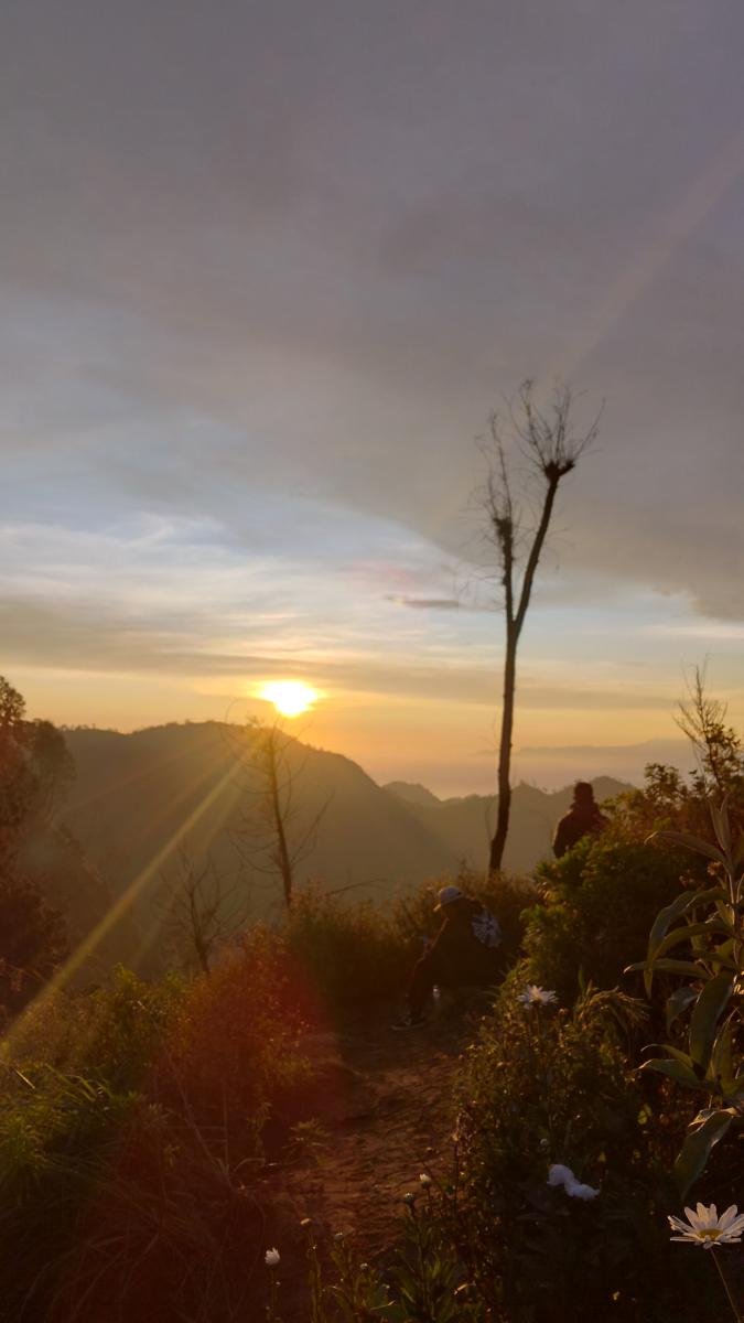 Midnight bromo
