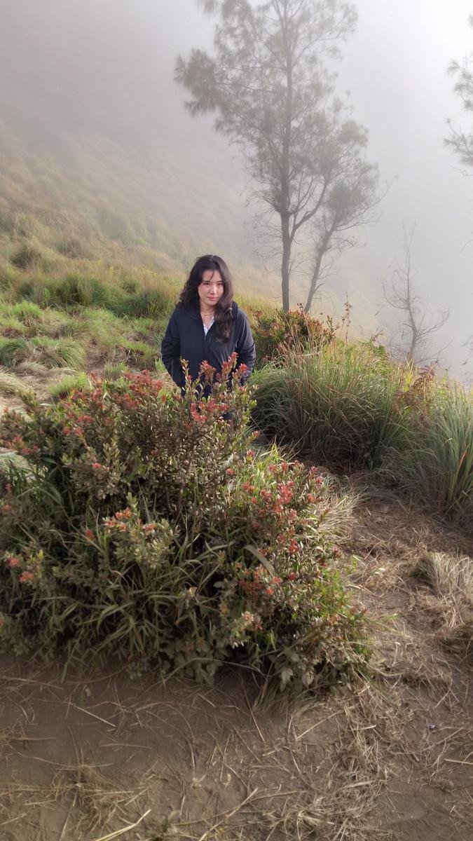 Midnight bromo